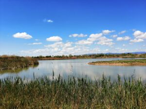 5 ideas para disfrutar del aire libre en la provincia de Barcelona