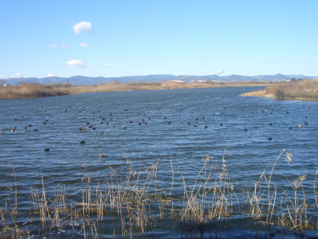 Descubre el Parc Natural Delta del Llobregat