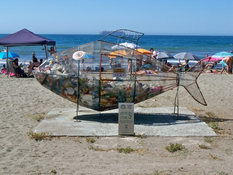 Un día de playa sostenible